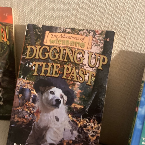 Wish bone 3 Paoerbacks book bundle as pictured like new excellent shape - Picture 3 of 5